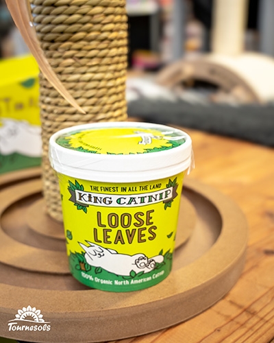 Pot King Catnip Loose Leaves à l’herbe à chat, posé près d’un griffoir pour stimuler et apaiser le chat.